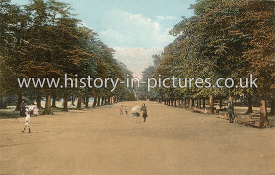 The Avenue, Bushwood, Leytonstone, London, c.1918.